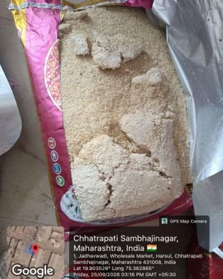 Water Damaged Stock of Rice